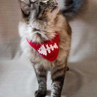 Pet neckerchief - knitting pattern