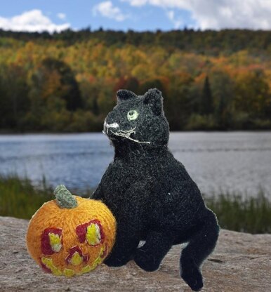 Halloween: black cat & jack-'o-lantern