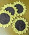 Sunflower Coasters