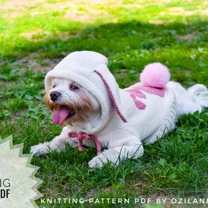 Easter bunny hoodie for dog - knitting pattern