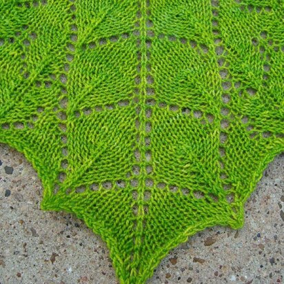 Wild Ivy Shawl