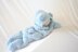 B16 Baby Bear Costume