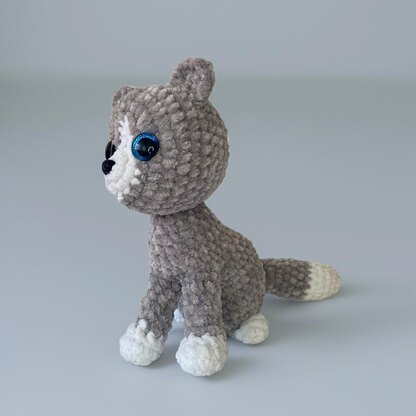 Cat – Calico, Siamese or Ginger