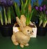 Golden Bunny Rabbit Easter Toy