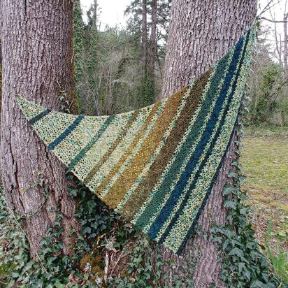 Ned's Dye-Pot Shawl