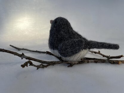 Snowbird