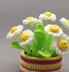 Daisies flower decoration