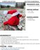 Cardinal Bird with Santa Hat