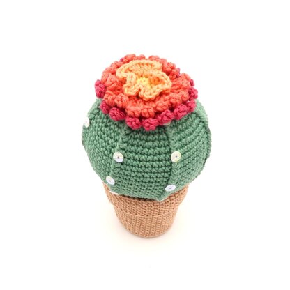 Cactus