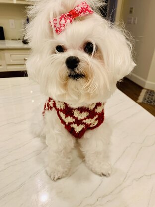 Candy Hearts Pet Sweater