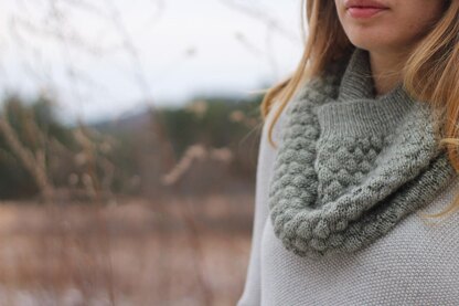 Holt Cowl