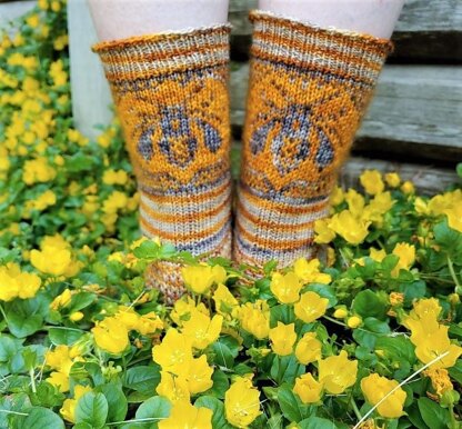 Hymenoptera Socks