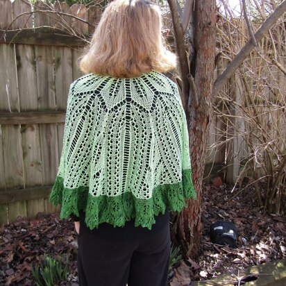 Bird Cage Shawl