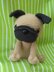 Pug