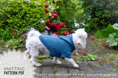 Sport hoodie clothes for dog