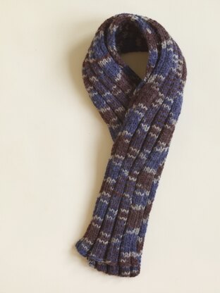 Ribbed Scarf in Lion Brand Vanna's Choice - 60815AD