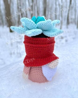 Gnome succulent_Echeveria