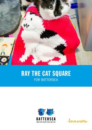 Ray Blanket for Battersea