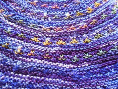 Homeward Bound Migration shawl