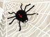 Spiders on Cobweb Crochet pattern Halloween wall decoration Crochet cross spiders Spooky decor Crochet web