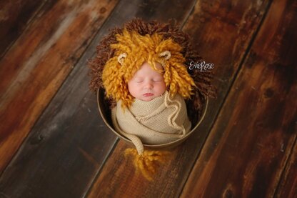 Little Lion Set