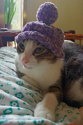 Hat and Scarf for Cats