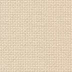 Cream (53)