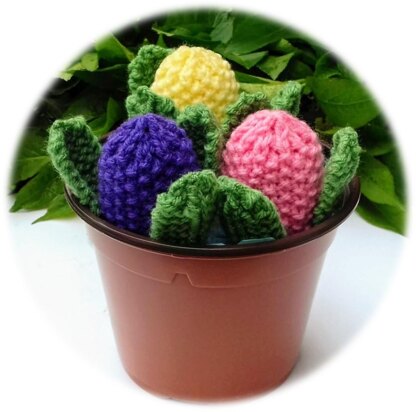 Budding Hyacinth Flowers - Creme Egg Covers