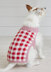 Debbie Bliss Picnic Pooch PDF