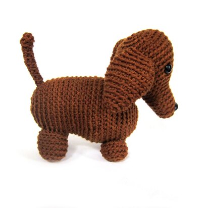 Dachshund