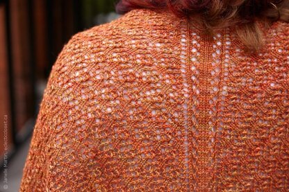 Sinuosity Shawl