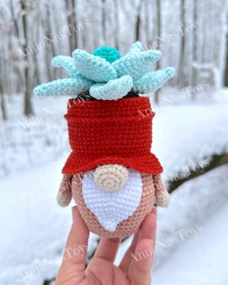 Gnome succulent_Echeveria