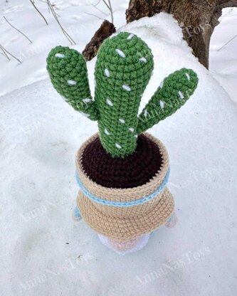 Gnome-cactus in a pot 2