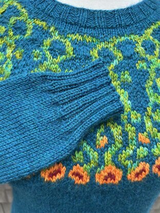 Isabella's Nasturtiums Pullover