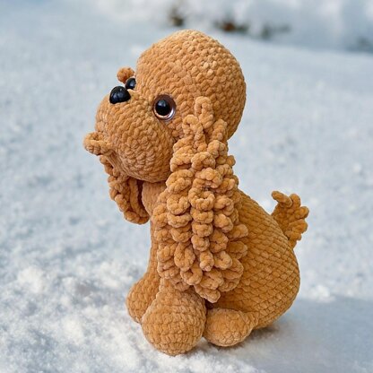 Cocker Spaniel