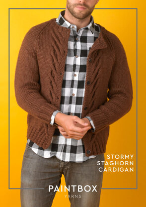 Stormy Staghorn Cardigan - Free Knitting Pattern For Men in Paintbox Yarns Wool Mix Aran
