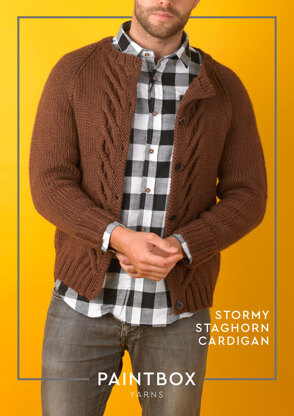 Paintbox Yarns Stormy Staghorn Cardigan PDF (Free)