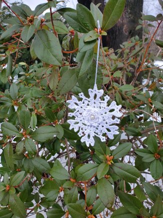 3D Crystal Snowflake for Mom #5