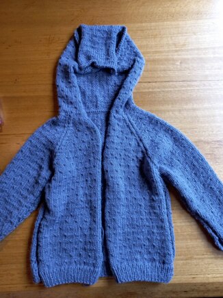 Dinosaur Hooded Jacket #4