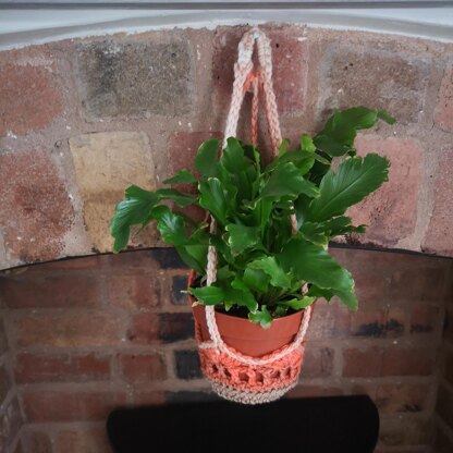 Hanging plant holder