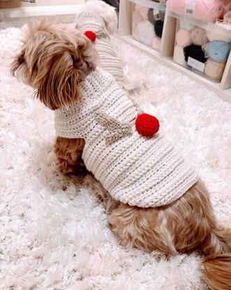 Rudolf Aran Dog Jumper