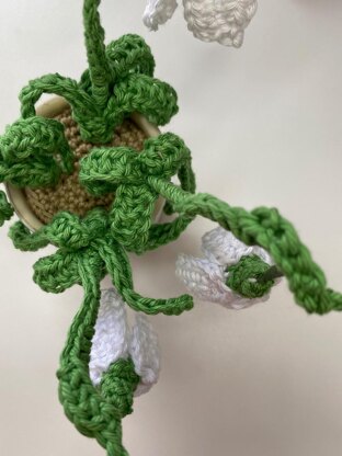 Nana's Snowdrop Flowers