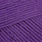 Pansy Purple (1247)