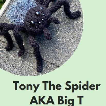 Big T The Spider