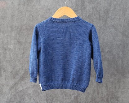P163 Teddy on a Sleigh Cardigans