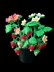 Crochet Strawberry plant