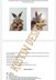 Bunny Egg