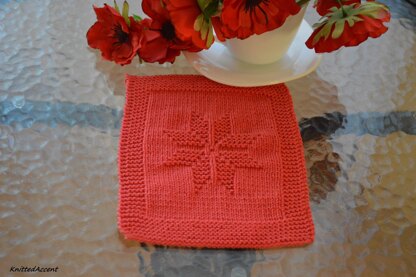 Dishcloth5