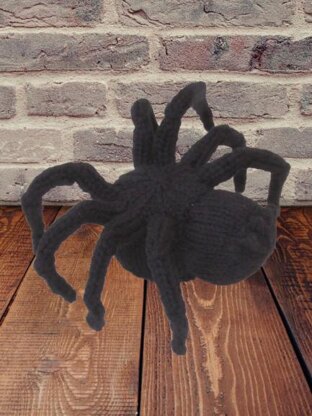 Halloween Spider Chocolate Orange Cosy
