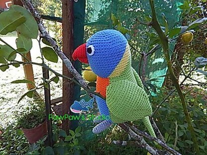 Amigurumi Rainbow Lorikeet Pattern No.31